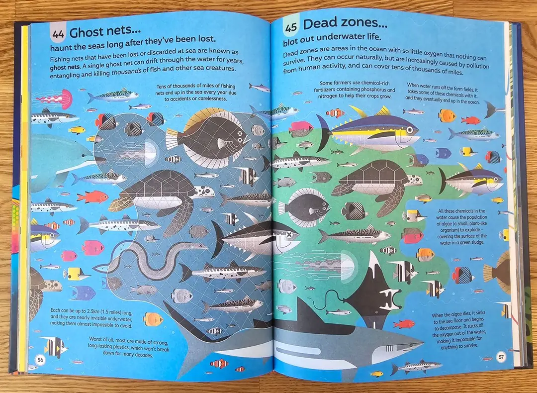 Изображение 3 из 8 к публикации «100 Things To Know About Oceans (Рубрика Kids)»