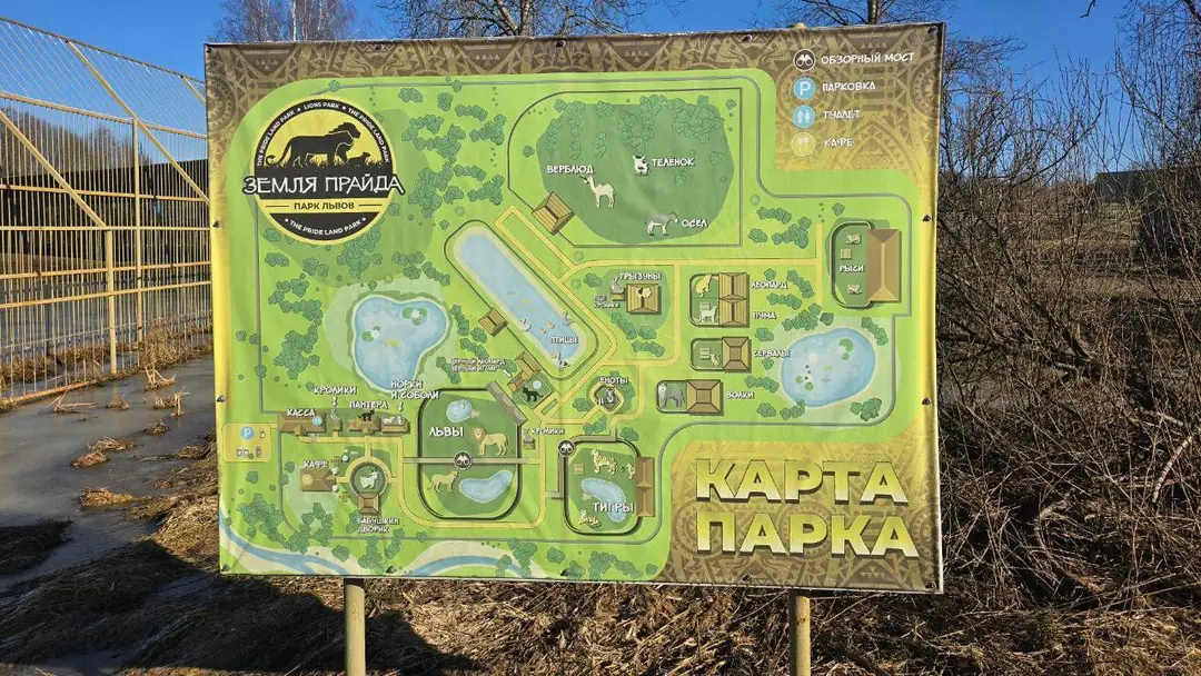 Изображение 1 из 9 к публикации «Парк Львов "Земля Прайда" (Рубрика Kids)»