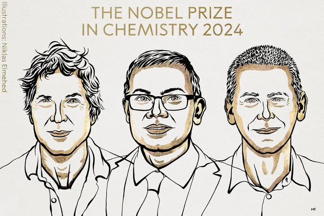 Изображение 1 из 1 к публикации «Нобелевская премия по химии 2024 (Рубрика PopularScience)»