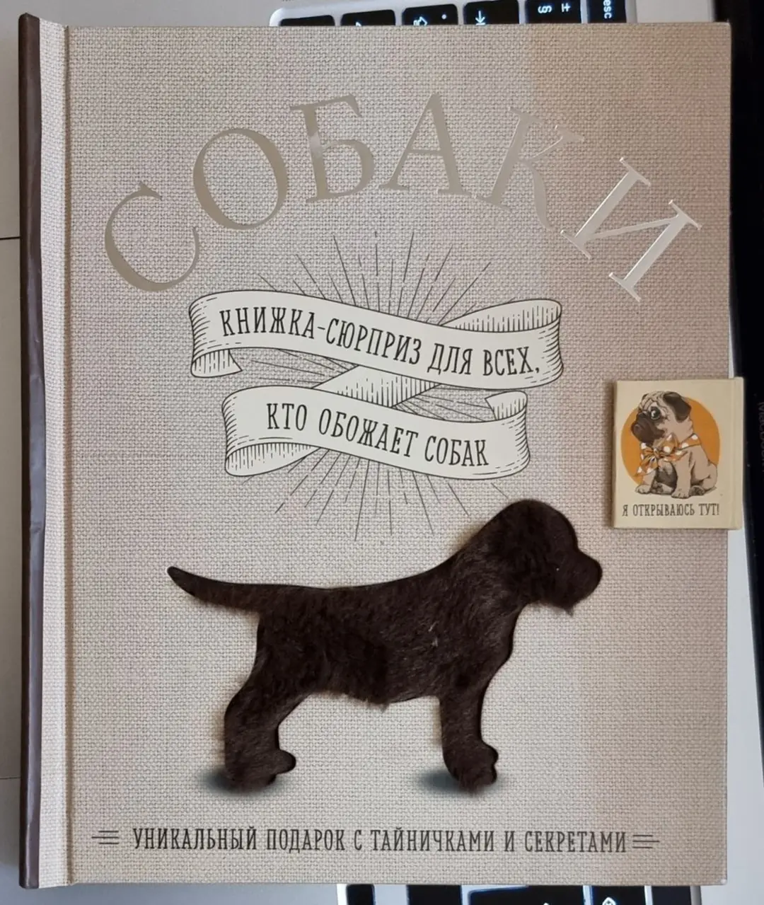 Image 1 of 1 for “My kids and I love dogs, so I bought them a book called Dogs six months ago. A surprise book for anyone who loves dogs.”