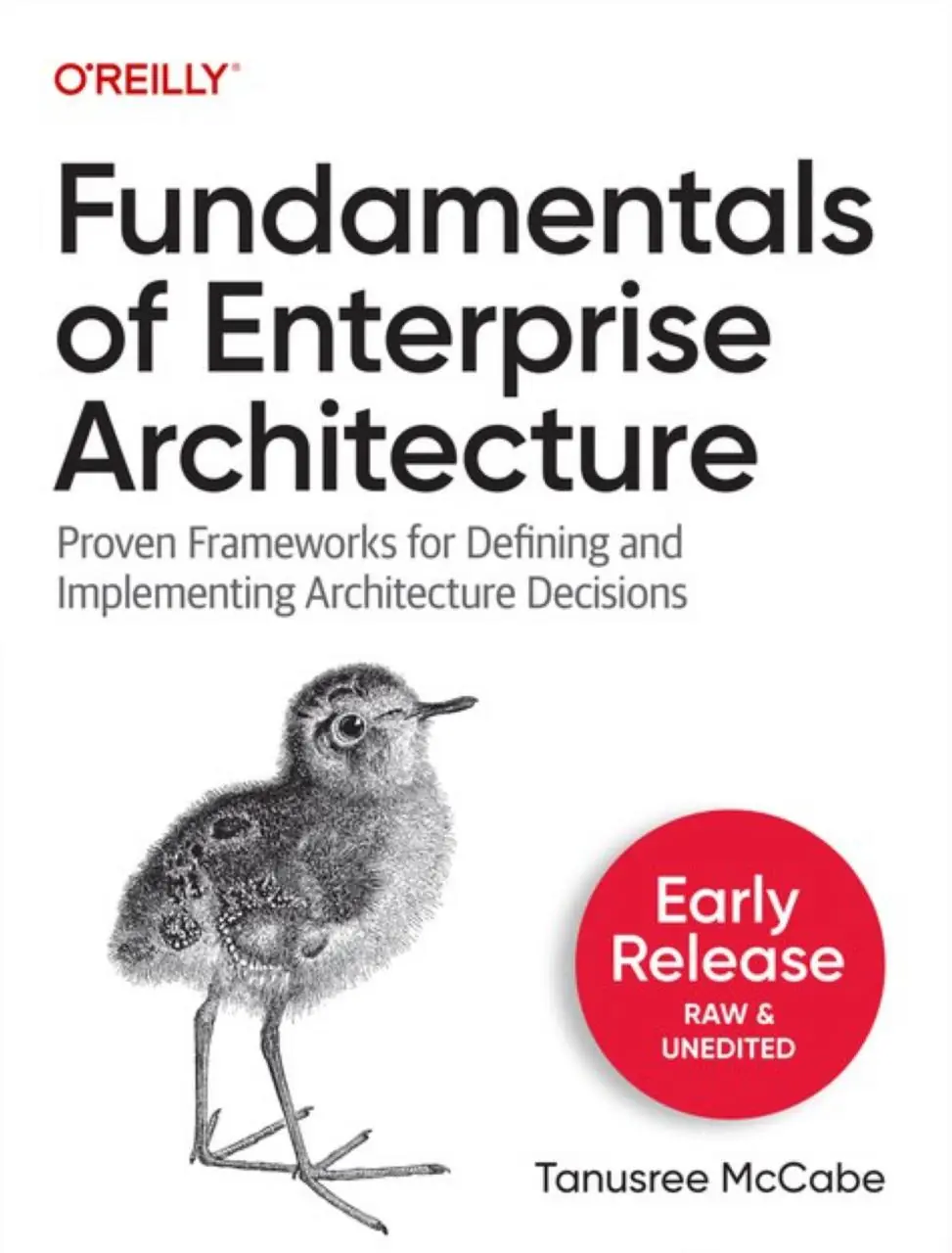 Image 2 of 4 for “Cover of the book "Fundamentals of Enterprise Architecture" and some illustrations. It's fun to compare the differences between the final cover version and the early preview.”