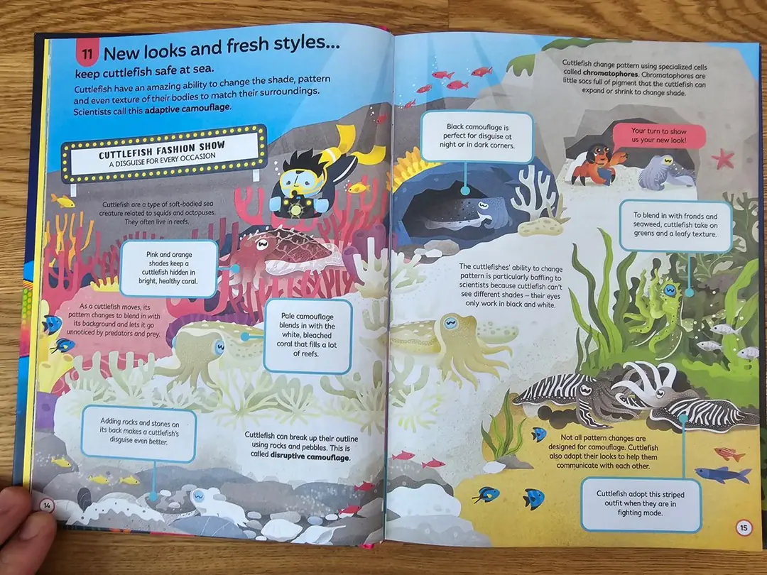Изображение 6 из 8 к публикации «100 Things To Know About Oceans (Рубрика Kids)»