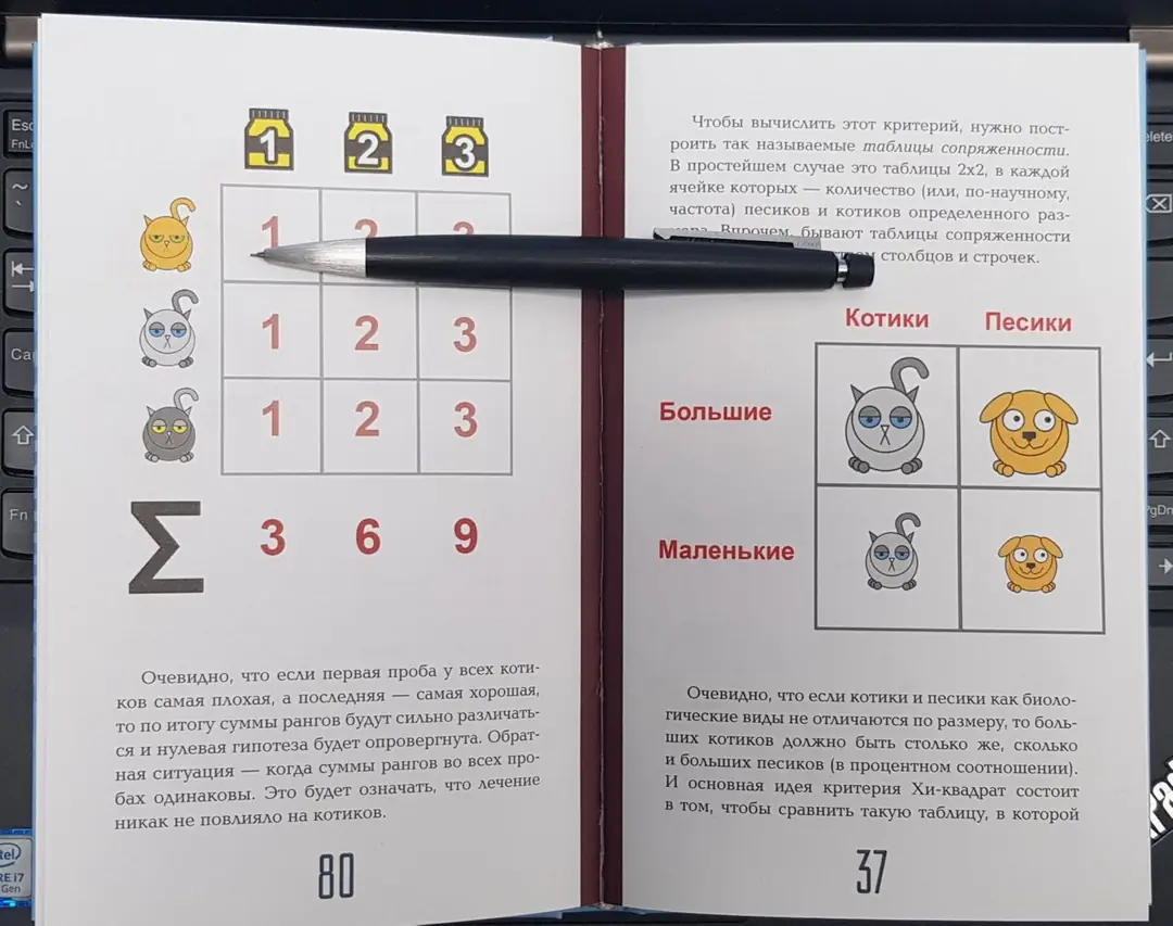 Изображение 2 из 3 к публикации «Обложка и пример битых страниц из книги»