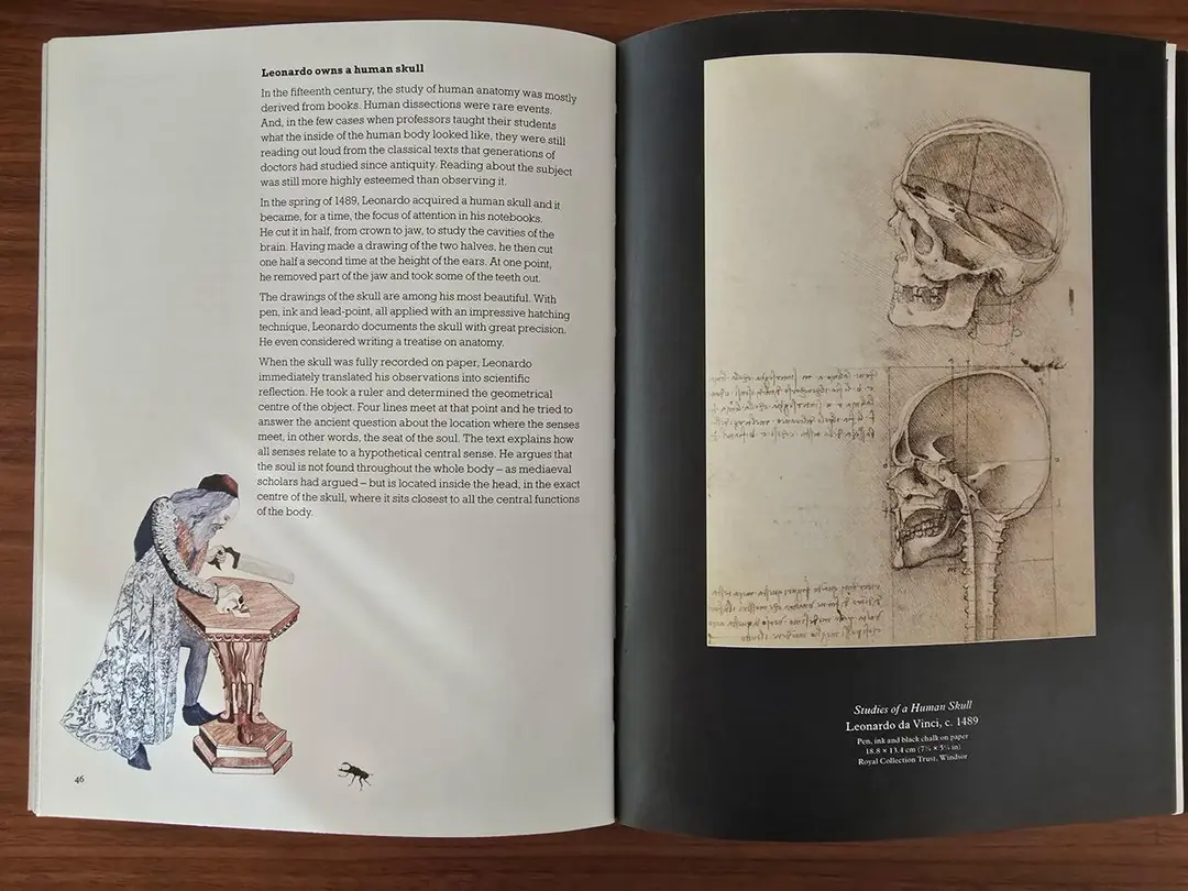 Изображение 6 из 6 к публикации «This is Leonardo da Vinci (Рубрика Art)»