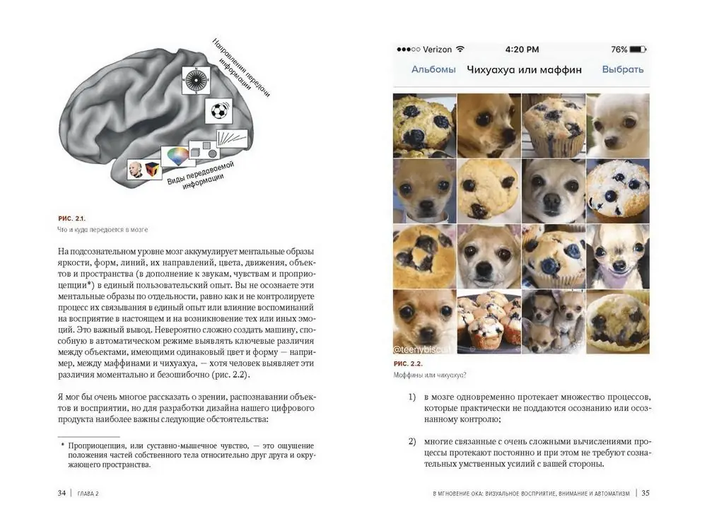 Image 3 of 4 for “User experience design (Design for How People Think: Using Brain Science to Build Better Products) (Category Design)”