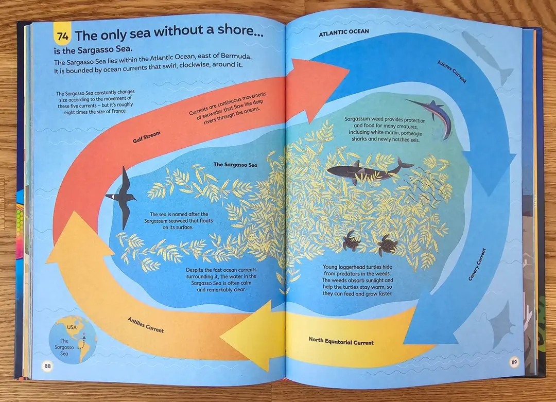Изображение 8 из 8 к публикации «100 Things To Know About Oceans (Рубрика Kids)»
