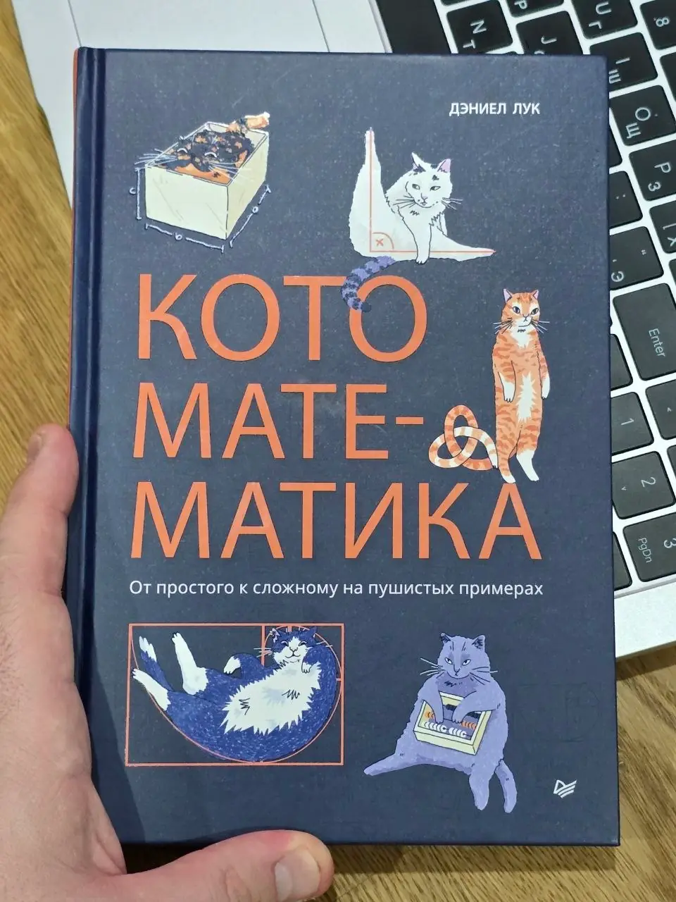 Изображение 1 из 2 к публикации «Кото-математика (Math Cats: Scratching the Surface of Mathematical Concepts) (Рубрика PopScience)»