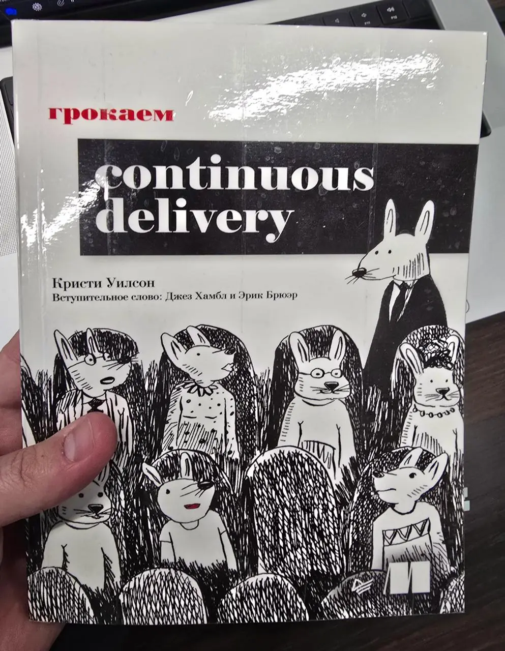 Изображение 2 из 4 к публикации «Обложки и иллюстрации книг "Grokking Continuous Delivery" и "Грокаем continuous delivery"»