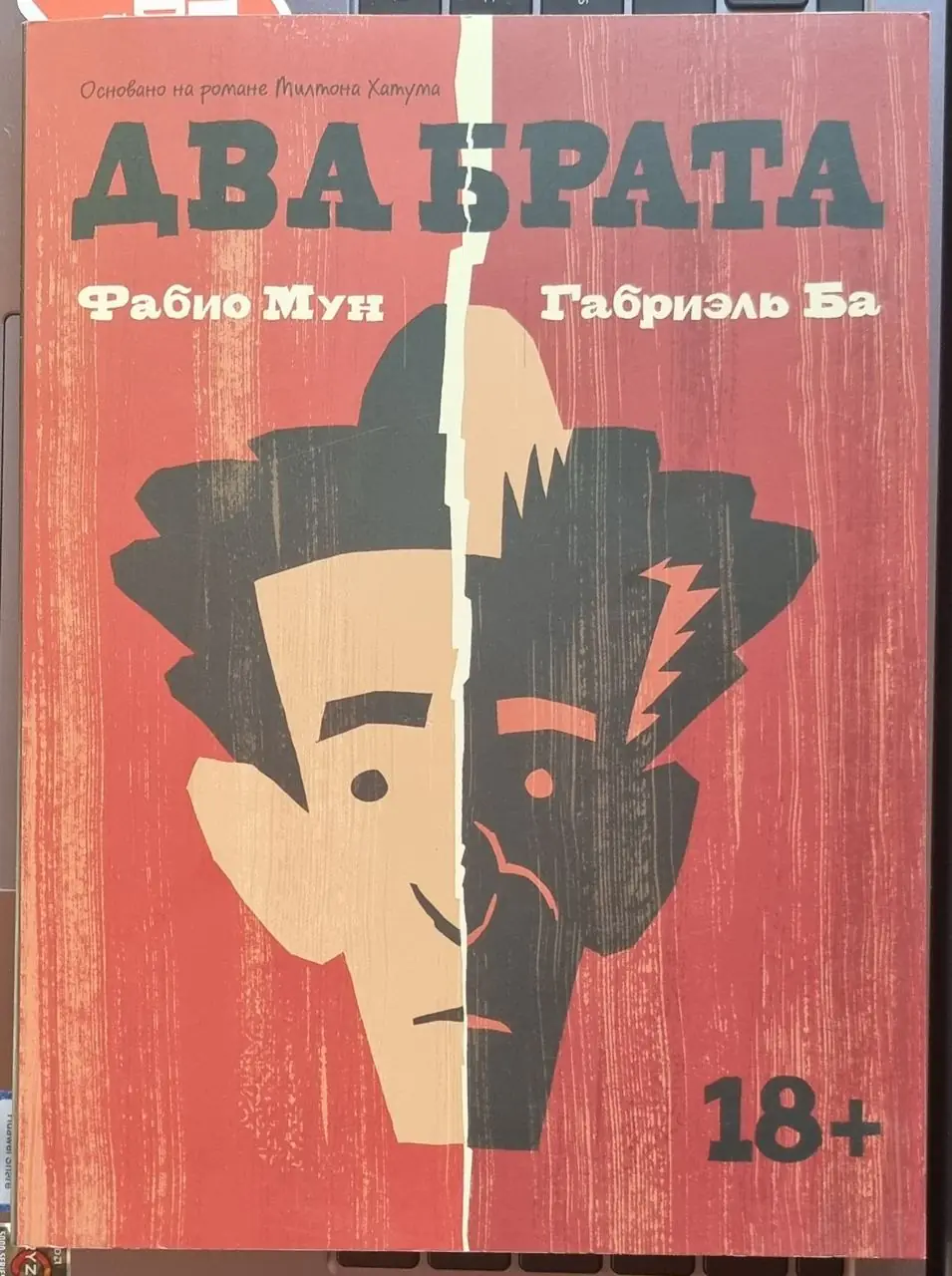 Изображение 1 из 1 к публикации «Вчера вечером за пару часов прочитал комикс "Два Брата", нарисованный Фабио Мун и Габриэль Ба.»