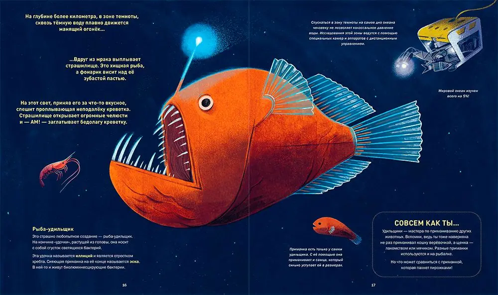 Image 4 of 4 for “Who glows in the dark (Creatures Glowing in the Dark)”