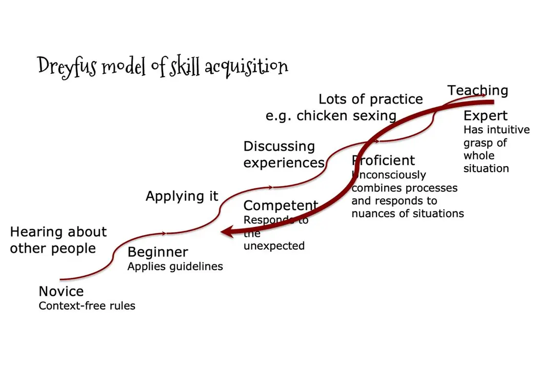 Image 1 of 2 for “What Your Mother Never Told You About Agile Development • Aino Vonge Corry • YOW! 2022”