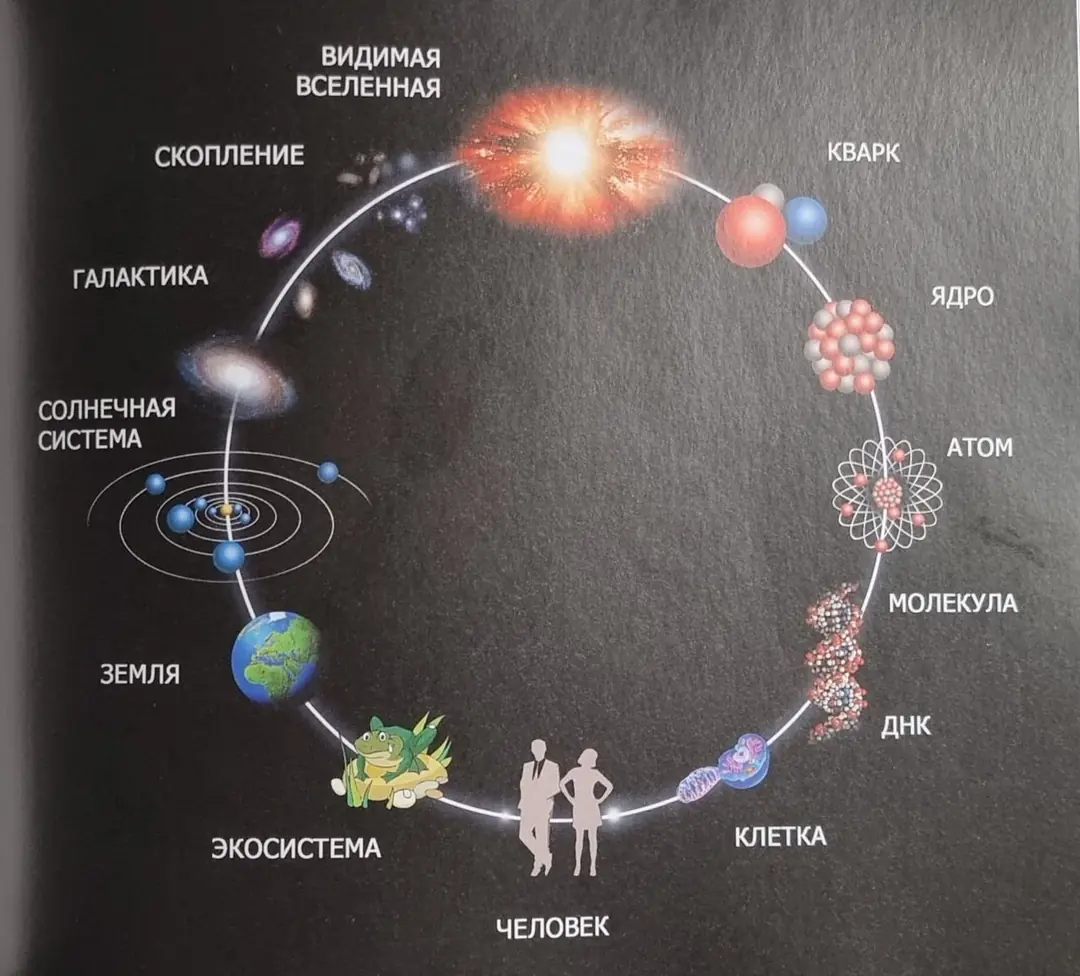 Изображение 6 из 6 к публикации «In Praise of Science. Curiosity, Understanding, and Progress (Во славу науки: любознательность, понимание, прогресс)»