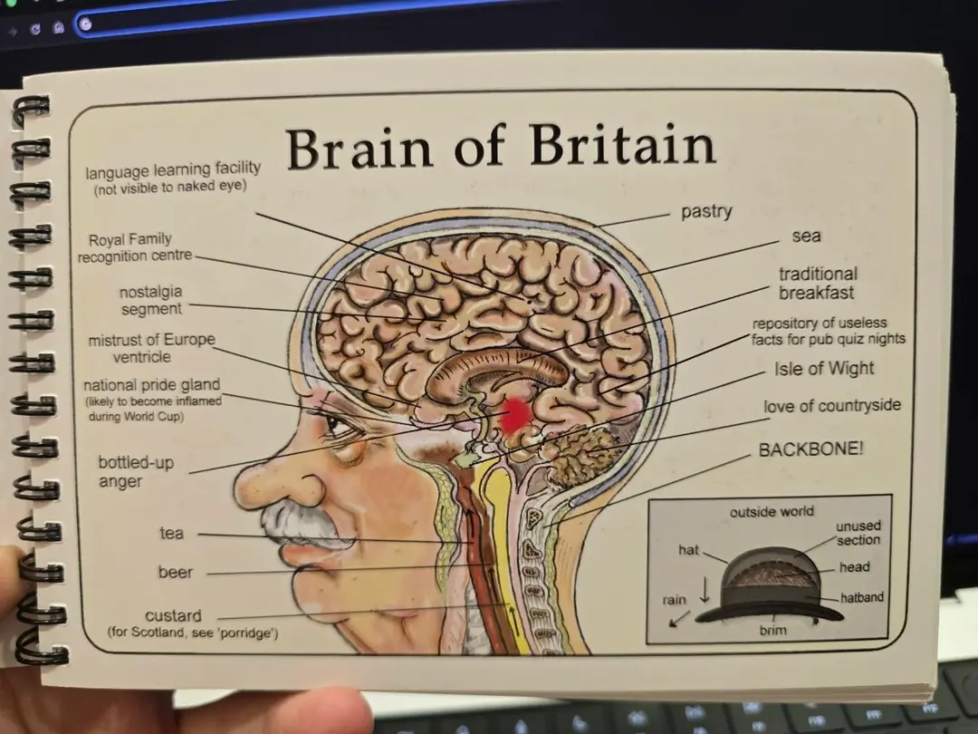 Изображение 2 из 10 к публикации «The How to be British Collection Two (Рубрика #Humor)»