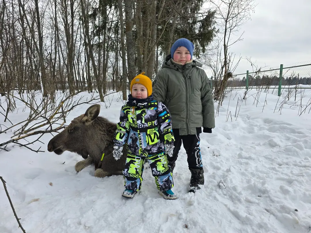 Image 4 of 5 for “Travel to Kostroma (23-24 February)”