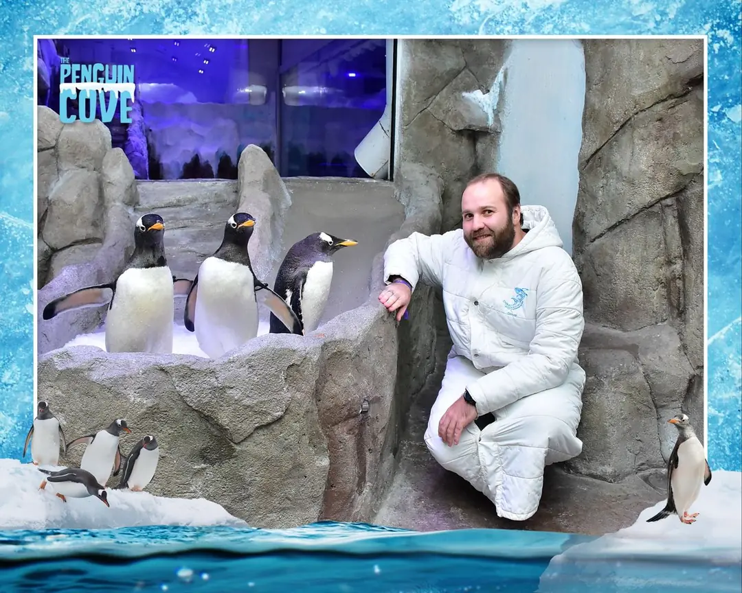 Image 1 of 1 for “I was with my family at the penguin show tonight. (Penguin Gentoo Show) At the Dubai Mall, where we were told about them and the penguins themselves were shown the tricks:)”