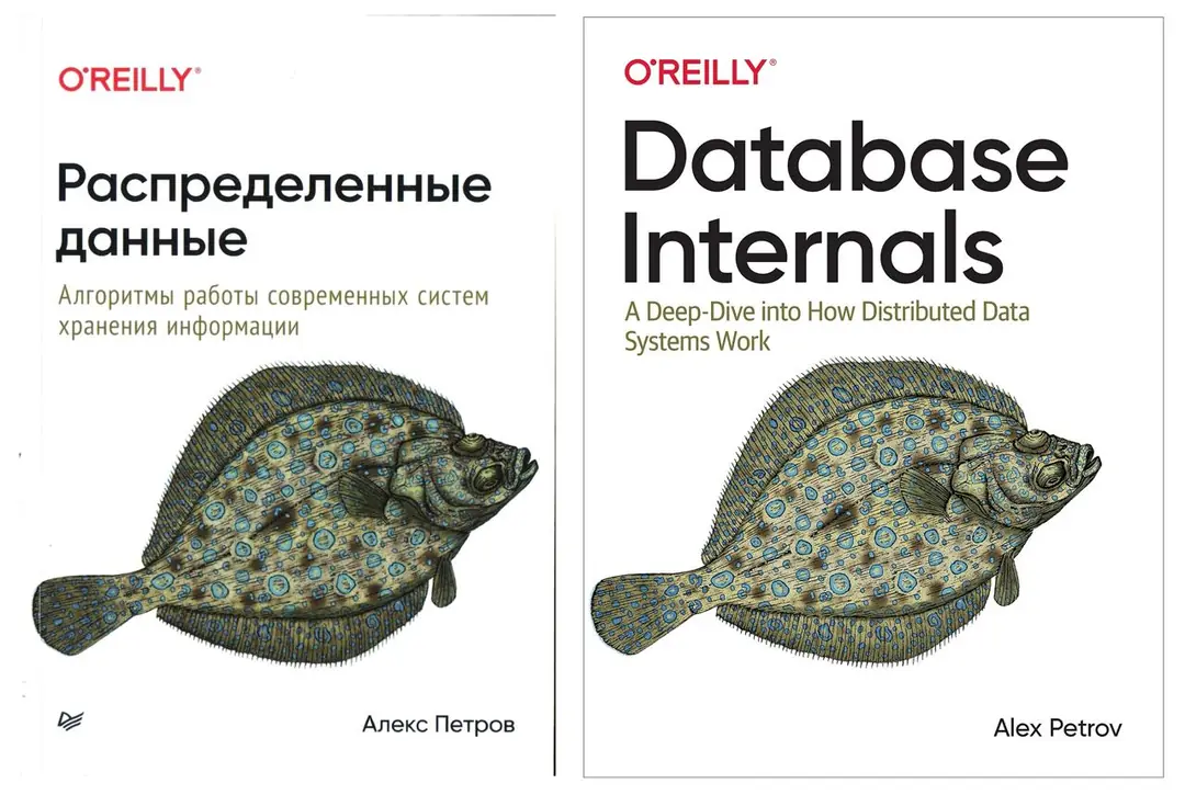 Image 1 of 3 for “The next option for reading in the framework of the reading arch club was the book "Database Internals" by Petrov A.”